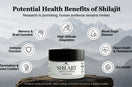 Top Shilajit Benefits for Overall Health Explained