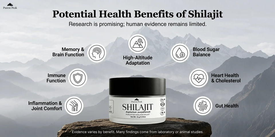 Top Shilajit Benefits for Overall Health Explained